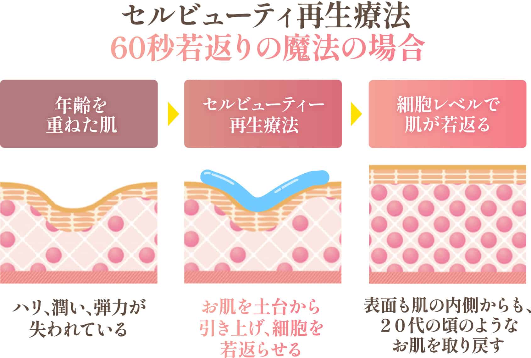 セルビューティ再生療法60秒若返りの魔法の場合