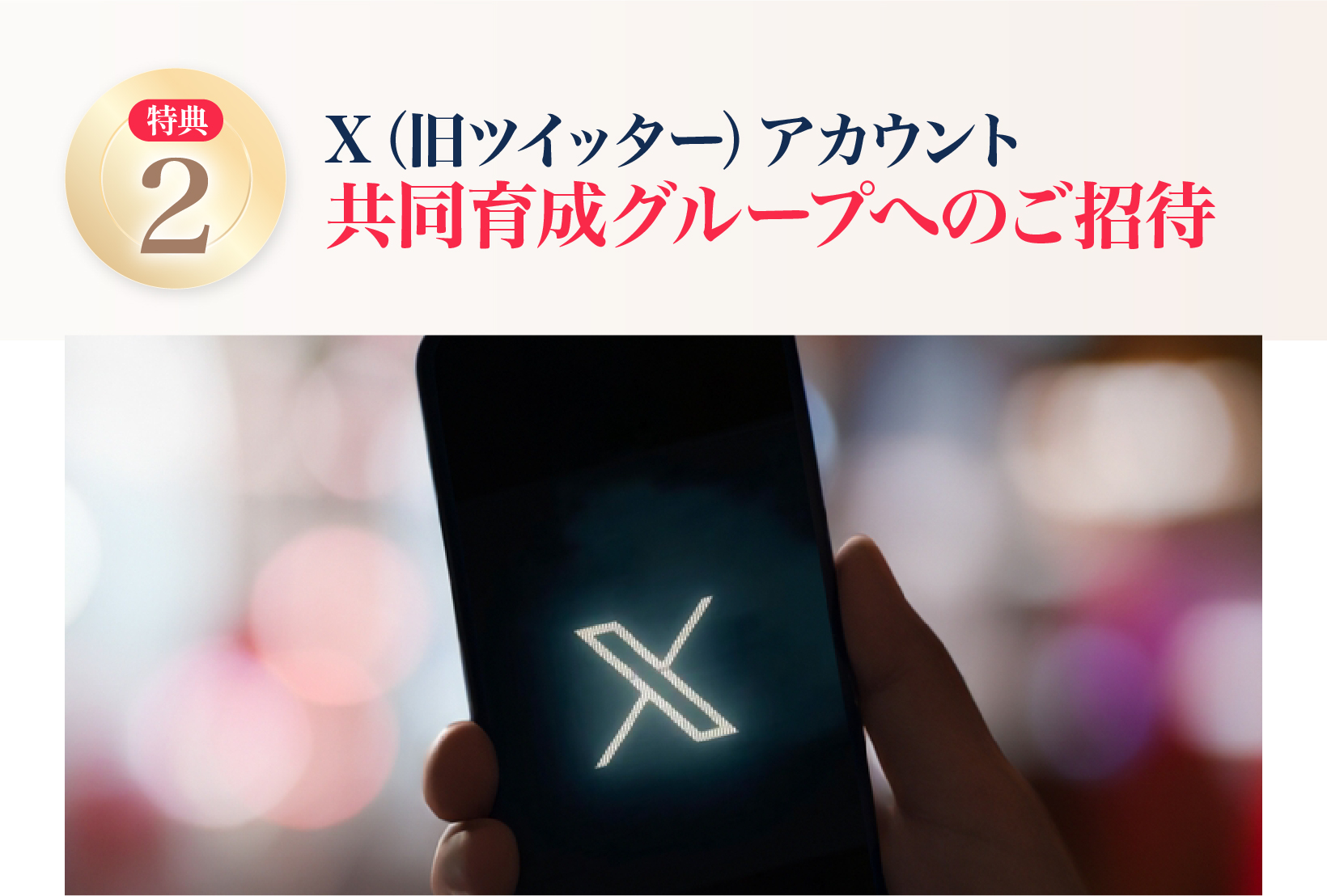 高次元のアロマ・エネルギーが高まる特別なお茶